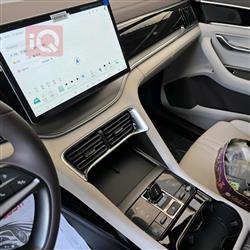 بي واي دي سونغ بلس